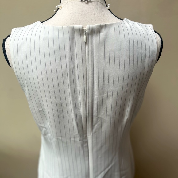 NWT Banana Republic Ivory Pinstripe Dress - Picture 5 of 7